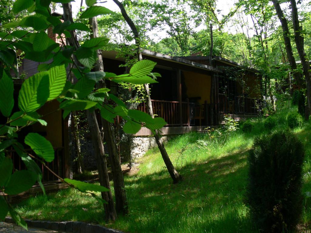 Dolunay Fanizan Hotel Fatsa Habitación foto